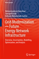 Somaye Asadi, Somayeh Asadi, Mohammadrez Daneshvar, Mohammadreza Daneshvar, Mohammadi-I, Behnam Mohammadi-Ivatloo - Grid Modernization   Future Energy Network Infrastructure