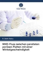 R Delhi Babu, R. Delhi Babu - MHD-Fluss zwischen parallelen porösen Platten mit einer Winkelgeschwindigkeit