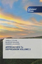 BEHROOZ BIRASHK, James C. Coyne, Hamideh Jahangiri - APPROACHES To DEPRESSION VOLUME 2