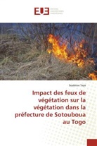 Seydatou Yaya - Impact des feux de végétation sur la végétation dans la préfecture de Sotouboua au Togo