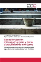 Miguel Ángel de la Rubia López, Encarnación Reyes Pozo, Laura Patricia Sánchez Mármol - Caracterización microestructural y de la durabilidad de morteros