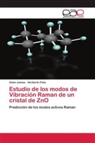 Oslen Jaimes, Heriberto Peña - Estudio de los modos de Vibración Raman de un cristal de ZnO
