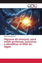 Andrei Gonzales Iturri - Algunos de ensayos: para medir proteínas, azúcares e identificar el DNA de algas