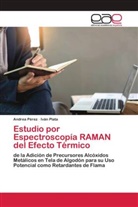 Andrea Pérez, Iván Plata - Estudio por Espectroscopía RAMAN del Efecto Térmico