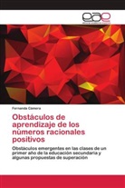 Fernanda Cámera - Obstáculos de aprendizaje de los números racionales positivos