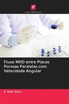 R. Delhi Babu - Fluxo MHD entre Placas Porosas Paralelas com Velocidade Angular