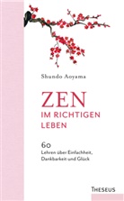 Shundo Aoyama - Zen im richtigen Leben