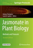 Anton Champion, Antony Champion, Laplaze, Laplaze, Laurent Laplaze - Jasmonate in Plant Biology