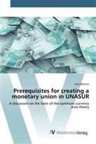Lina Behrens - Prerequisites for creating a monetary union in UNASUR