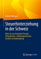 Roland Hofmann - Steuerhinterziehung in der Schweiz