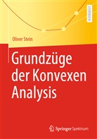 Oliver Stein - Grundzüge der Konvexen Analysis