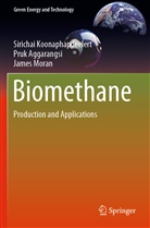 Pru Aggarangsi, Pruk Aggarangsi, Siricha Koonaphapdeelert, Sirichai Koonaphapdeelert, Moran, James Moran - Biomethane