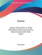 Felix Porcher - Fuchsia