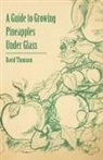 David Thomson - A Guide to Growing Pineapples Under Glass