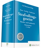 Johannes Feest, Wolfgan Lesting, Wolfgang Lesting, Michael Lindemann - Strafvollzugsgesetze - Kommentar