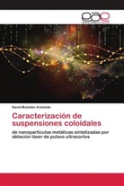 David Muñetón Arboleda - Caracterización de suspensiones coloidales