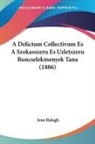 Jeno Balogh - A Delictum Collectivum Es A Szokasszeru Es Uzletszeru Buncselekmenyek Tana (1886)