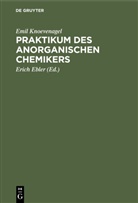 Emil Knoevenagel, Erich Ebler - Praktikum des anorganischen Chemikers