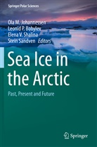 Leonid P. Bobylev, Ola M. Johannessen, Leoni P Bobylev, Leonid P Bobylev, Stein Sandven, Elena V. Shalina... - Sea Ice in the Arctic