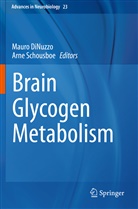 Maur DiNuzzo, Mauro DiNuzzo, Schousboe, Schousboe, Arne Schousboe - Brain Glycogen Metabolism
