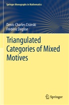 Denis-Charle Cisinski, Denis-Charles Cisinski, Frédéric Déglise - Triangulated Categories of Mixed Motives