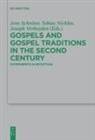 Tobia Nicklas, Tobias Nicklas, Jens Schröter, Joseph Verheyden - Gospels and Gospel Traditions in the Second Century