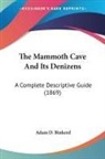 Adam D. Binkerd - The Mammoth Cave And Its Denizens