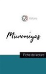 Voltaire - Micromégas de Voltaire (fiche de lecture et analyse complète de l'oeuvre)