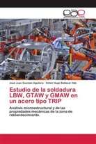 Victor Hugo Baltazar Hdz, Victor Hugo Baltazar Hdz., José Juan Guzmán Aguilera - Estudio de la soldadura LBW, GTAW y GMAW en un acero tipo TRIP