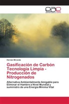 Hernán Miranda - Gasificación de Carbón Tecnología Limpia - Producción de Nitrogenados