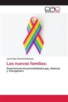 Juan Felipe Piedrahita Montoya - Las nuevas familias: