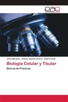 Antonia Ángeles Álvarez, Olatz Crende, Joana Márquez - Biología Celular y Tisular