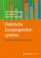 Przemysla Komarnicki, Przemyslaw Komarnicki, Pi Lombardi, Pio Lombardi, Z Styczynski, Zbigniew A. Styczynski - Elektrische Energiespeichersysteme
