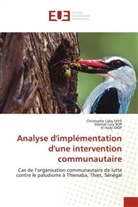Martial Coly BOP, El Hadji DIOP, Christophe Laba FAYE - Analyse d'implémentation d'une intervention communautaire
