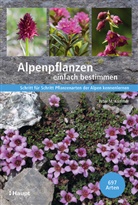 Peter M Kammer, Peter M. Kammer, Stefan Eggenberg - Alpenpflanzen einfach bestimmen