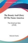 Heinrich Charles - The Beauty And Glory Of The Name America