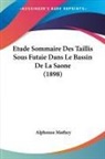 Alphonse Mathey - Etude Sommaire Des Taillis Sous Futaie Dans Le Bassin De La Saone (1898)