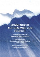Choney Lama Drakpa Shedrup, Geshe Michael Roach, Geshe Michael Roach - Sonnenlicht auf dem Weg zur Freiheit