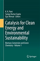 Ejaz Ahmad, Sanjay Kumar Gupta, Sanja Kumar Gupta, Sanjay Kumar Gupta, K. K. Pant - Catalysis for Clean Energy and Environmental Sustainability