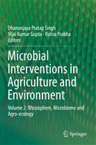 Vijai Kumar Gupta, Vija Kumar Gupta, Vijai Kumar Gupta, Ratna Prabha, Dhananjaya Pratap Singh - Microbial Interventions in Agriculture and Environment