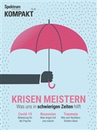 Spektrum der Wissenschaft - Spektrum Kompakt - Krisen meistern