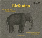Rüdiger Schaper, Frank Arnold, Judit Schalansky, Judith Schalansky - Elefanten. Ein Portrait, 3 Audio-CD (Audiolibro)