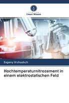 Evgeny Vrzhashch - Hochtemperaturnitrozement in einem elektrostatischen Feld