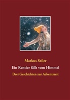 Markus Seiler - Ein Rentier fällt vom Himmel