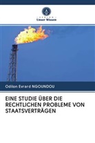 Odilon Evrard Ngoundou - EINE STUDIE ÜBER DIE RECHTLICHEN PROBLEME VON STAATSVERTRÄGEN