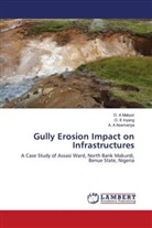 A. A Asemanya, O. E Inyang, O. A Makyur - Gully Erosion Impact on Infrastructures