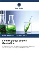 Omar Napoleon Quinteros Vaca - Bioenergie der zweiten Generation
