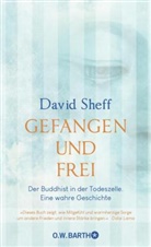 David Sheff - Gefangen und frei