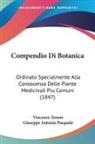 Giuseppe Antonio Pasquale, Vincenzo Tenore - Compendio Di Botanica