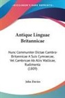 John Davies - Antique Linguae Britannicae